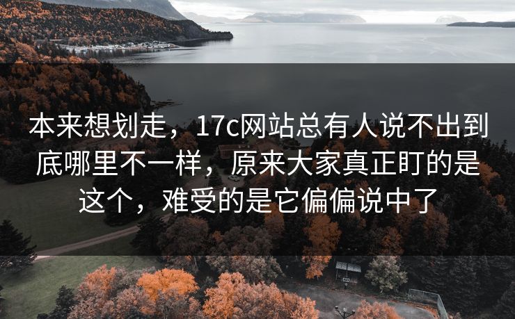 本来想划走，17c网站总有人说不出到底哪里不一样，原来大家真正盯的是这个，难受的是它偏偏说中了