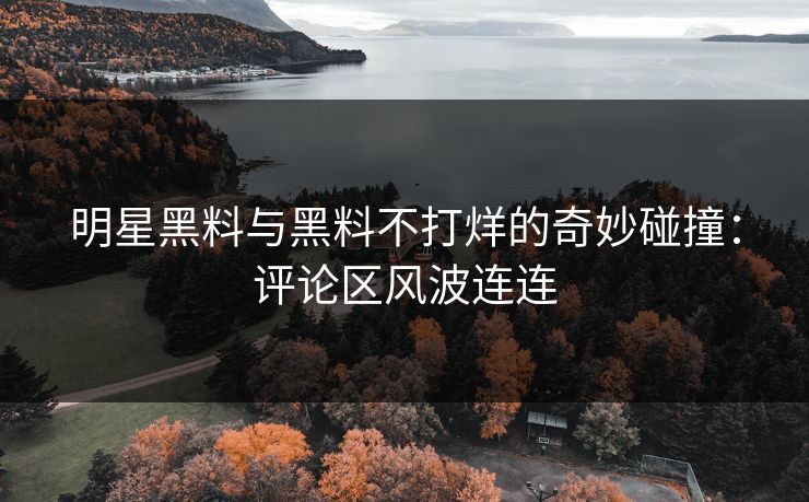 明星黑料与黑料不打烊的奇妙碰撞：评论区风波连连